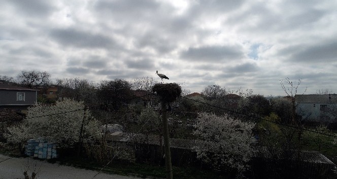 (Özel Haber) İstanbul’un “Leylekli köyü” havadan görüntülendi