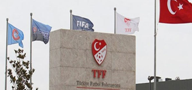 Türkiye Futbol Federasyonu Profesyonel