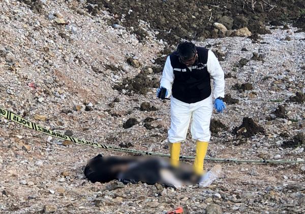 Bursa’da ağzı bantlı, bıçaklanarak öldürülmüş erkek cesedi bulundu