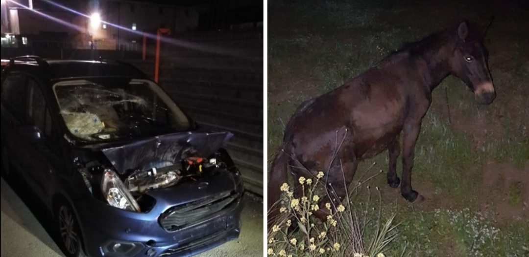 Orhangazi İznik yolu üzerinde