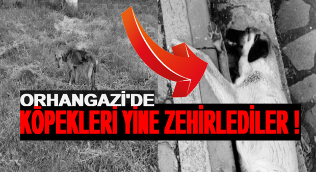 Orhangazi’de dün gece saatlerinde