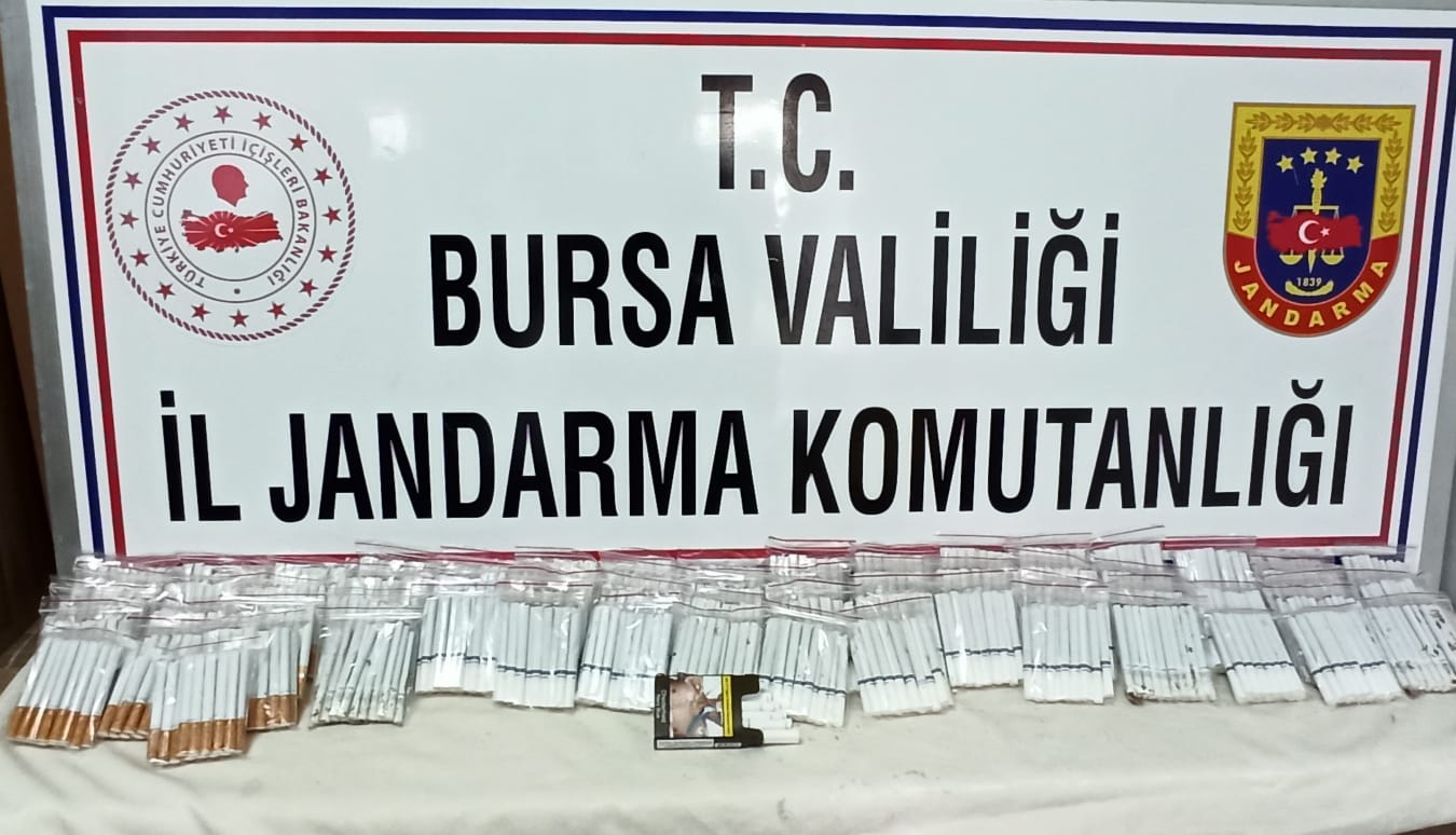 Orhangazi Yeniköy mahallesinde tek