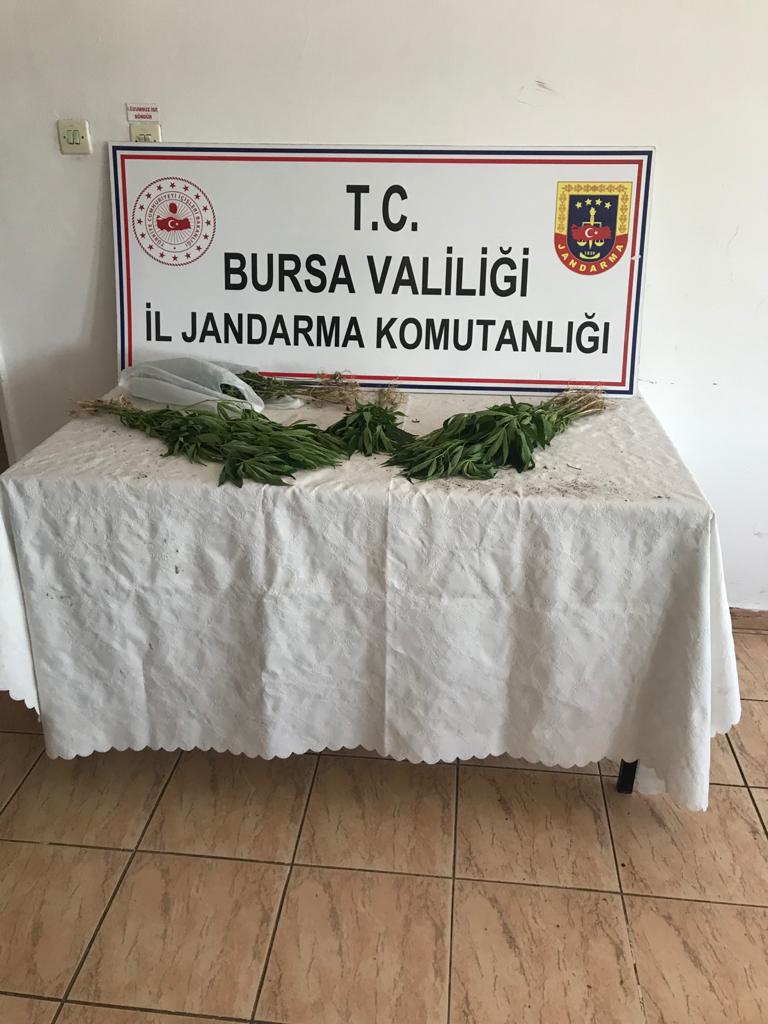 Jandarma ekipleri tarafından Yenisehir’de