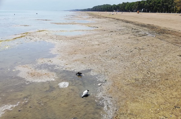 Orhangazi ve İznik sınırları