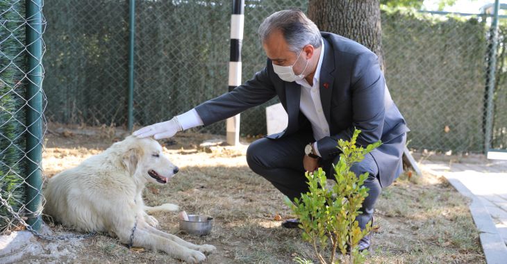 Bursa Büyükşehir Belediyesi Bursa’ya