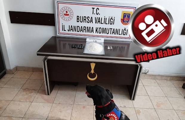   Bursa İl Jandarma