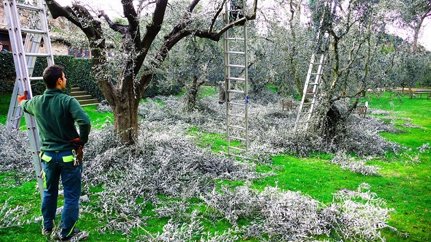 Orhangazi ve çevre ilçelerde