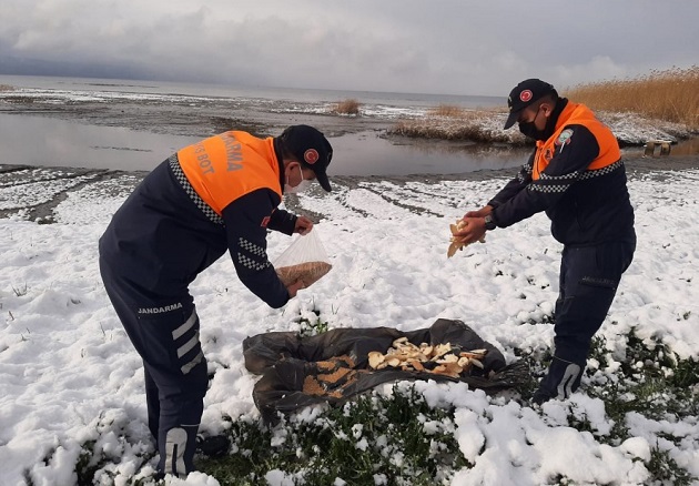 jandarma ekipleri soğuk kış