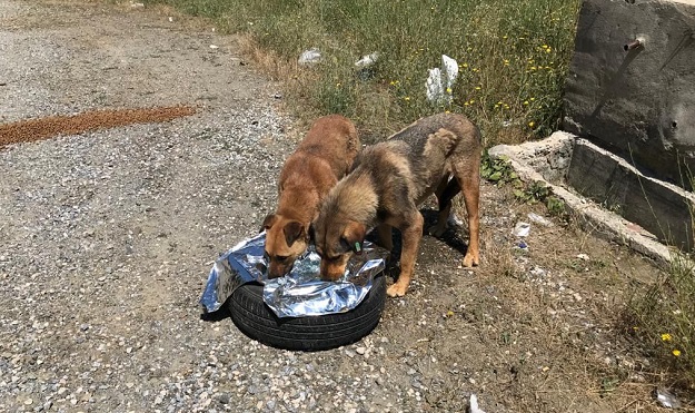 Bursa Büyükşehir Belediyesi, gönüllü