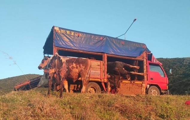 Bir  kamyonetin kasasına üst