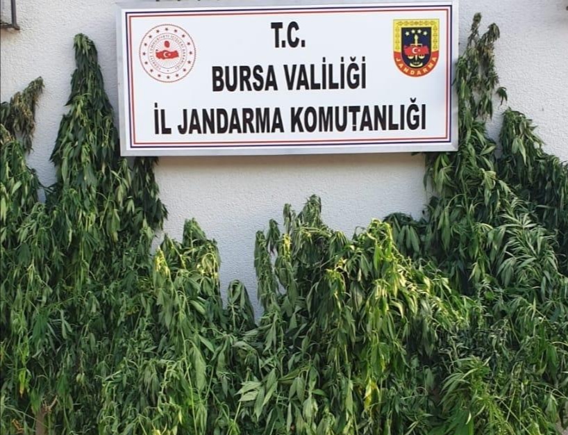 Jandarma Komutanlığı ekipleri Uyuşturucu