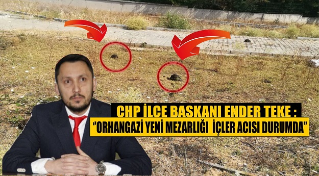 CHP Orhangazi İlçe Başkanı