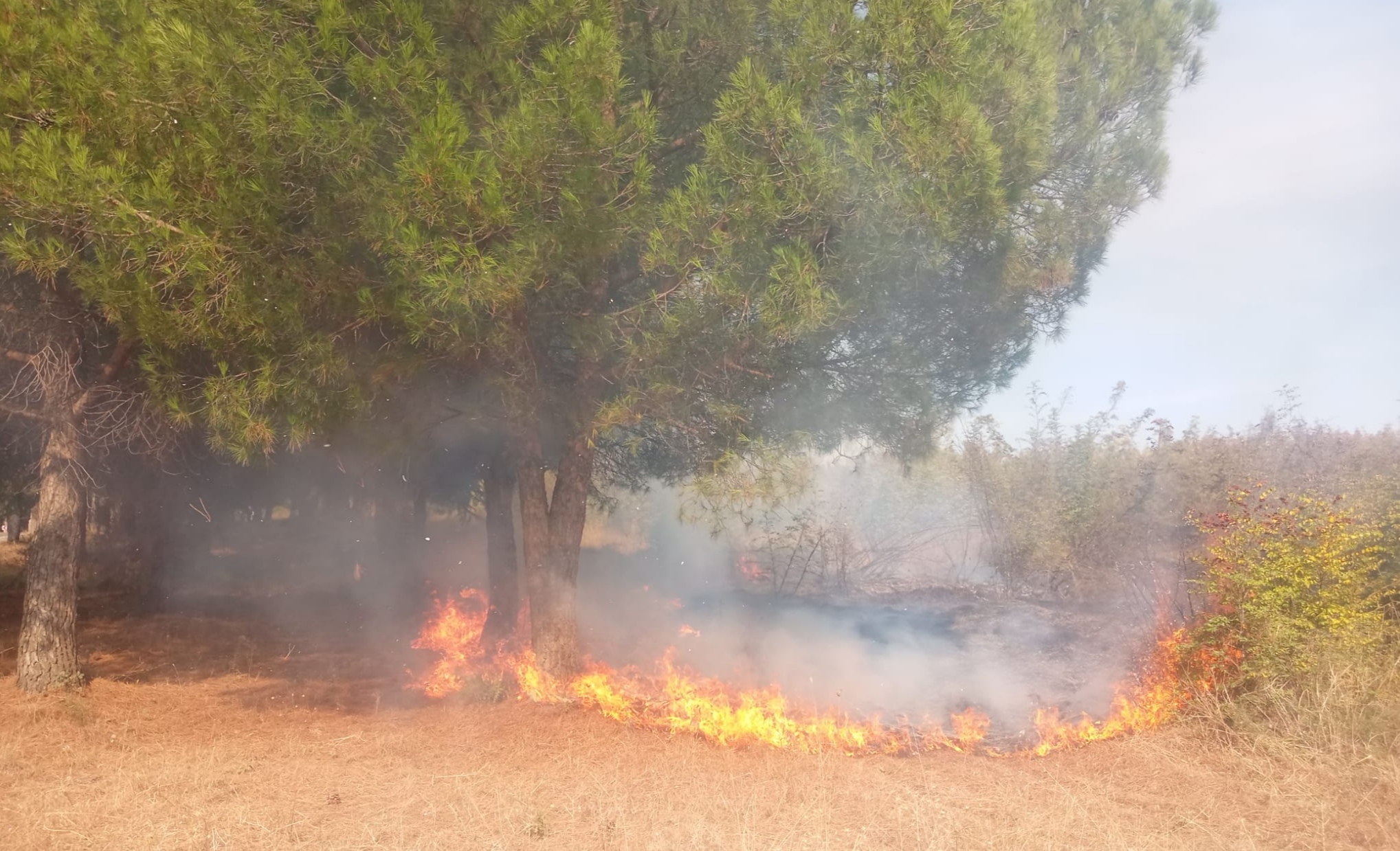 Yeniköy yolu üzerinde bulunan