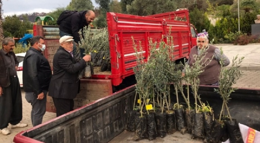 Geçtiğimiz temmuz ayı sonunda