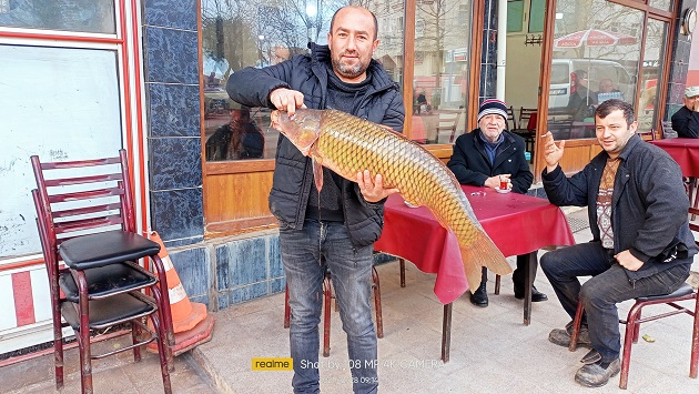 Orhangazi’ye bağlı Narlıca mahallesinde