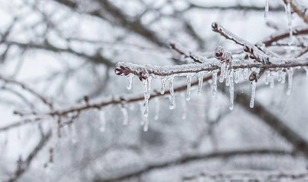 Meteoroloji Genel Müdürlüğü Bursa