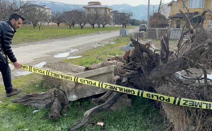 üzerinde yazı ve şekilli