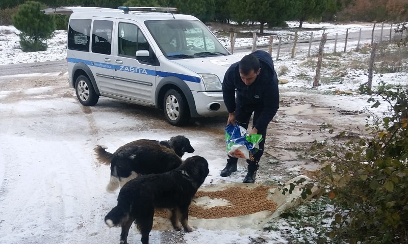 Orhangazi belediyesi zabıta ekipleri 