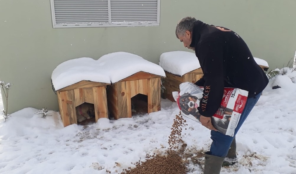 Orhangazi Belediyesi Veteriner İşleri