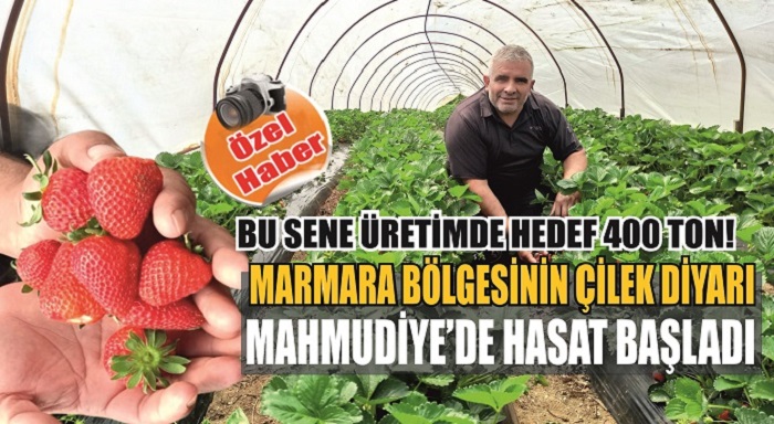 Marmara bölgesinin en önemli