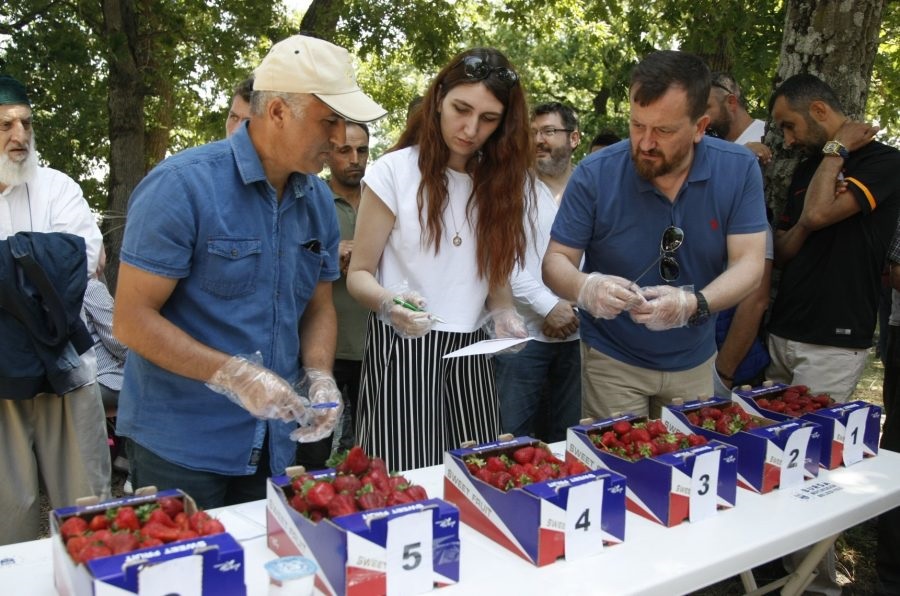 Orhangazi’nin en büyük tarımsal