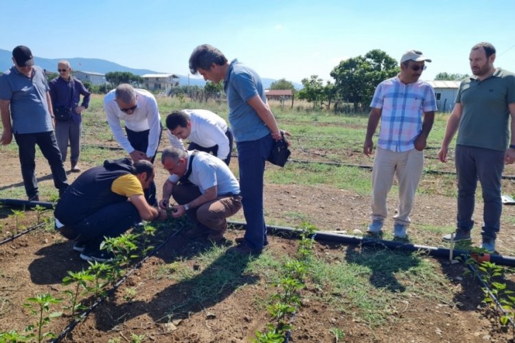 Orhangazi ‘de  kaymakamlık koordinasyonunda,