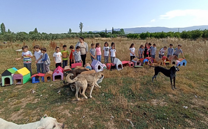 Minik Öğrencilerden Hayvanlara Yuva