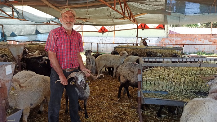 Kurban bayramına sayılı günler