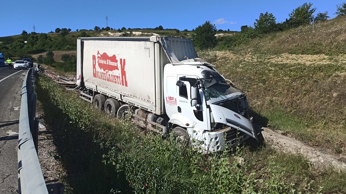 Orhangazi-Yalova yolu üzerinde sık