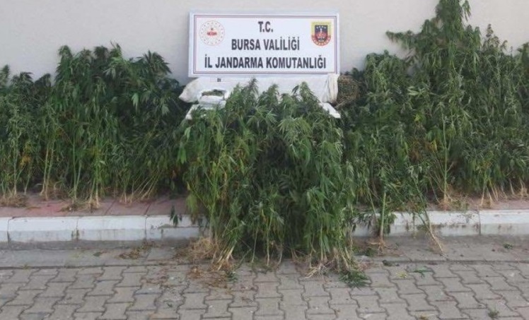   İl Jandarma Komutanlığınca