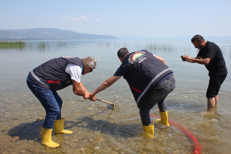 Tarım ve Orman Bakanlığı