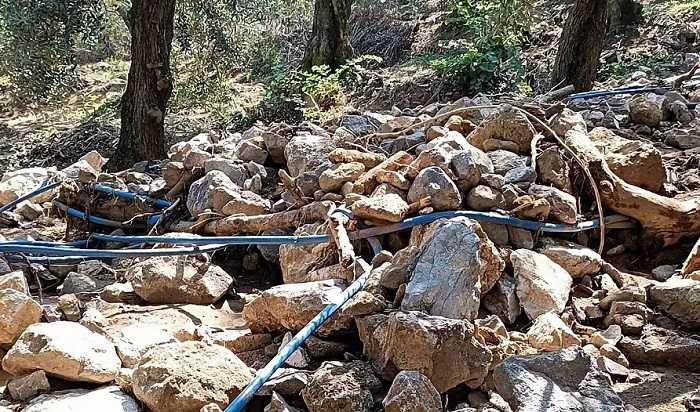 Orhangazi’ye bağlı Narlıca mahallesinde