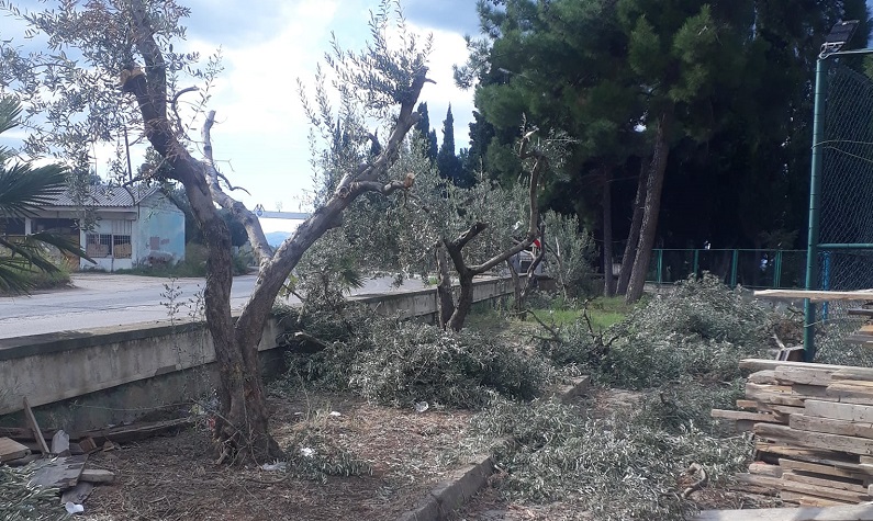 Orhangazi’ye bağlı Sölöz Mahallesi’nde