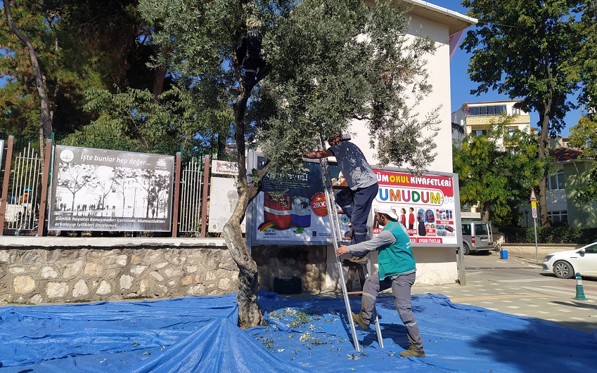 Orhangazi’de Şehir içinde bulunan