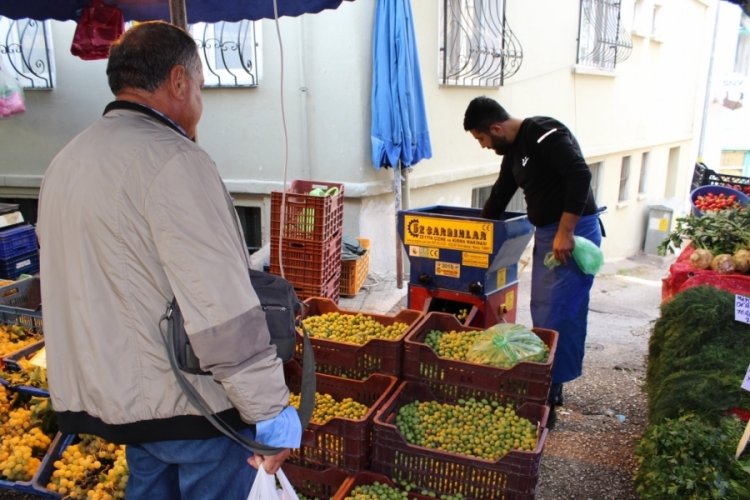 Yılın yeni yeşil zeytinleri