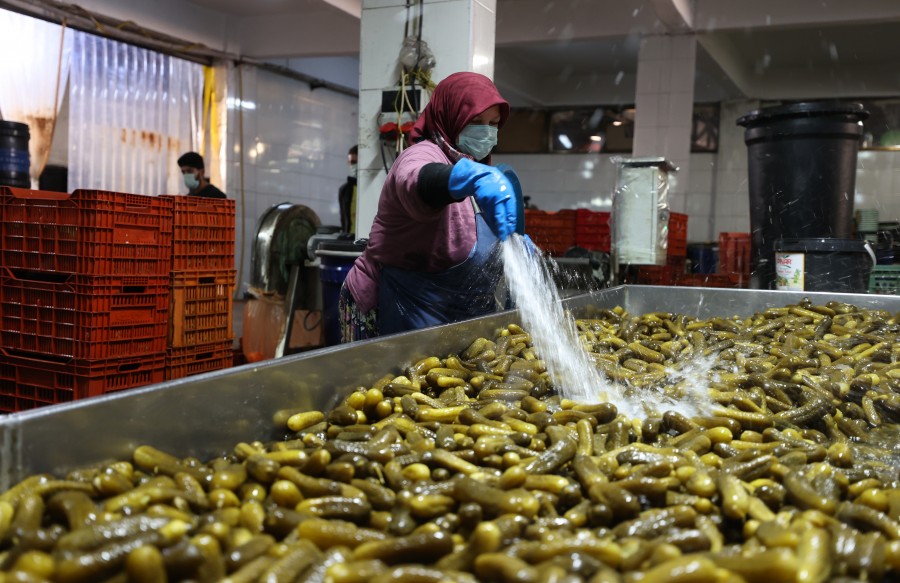 Türkiye’nin turşu üretiminde önde