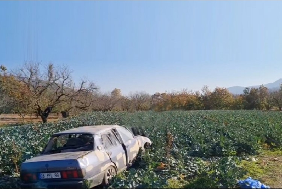 Bursa’nın İznik ilçesinde tarlaya