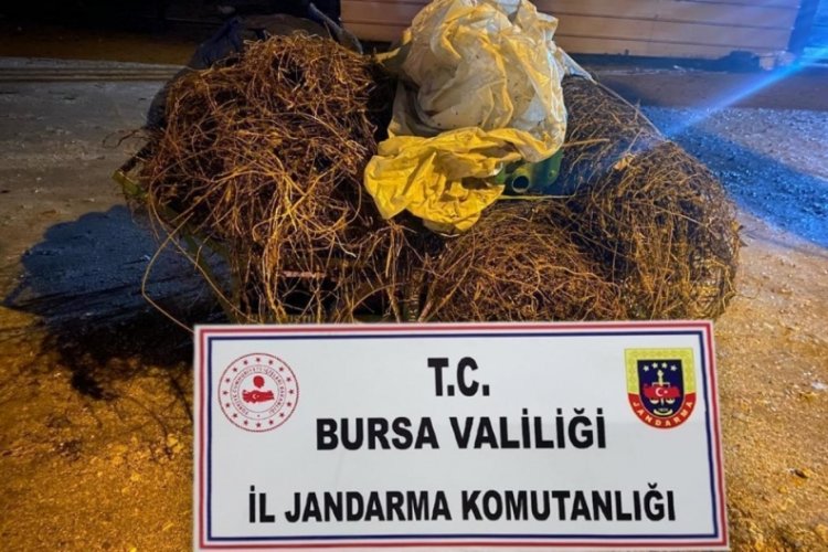 Bursa Yıldırım’da İl Jandarma