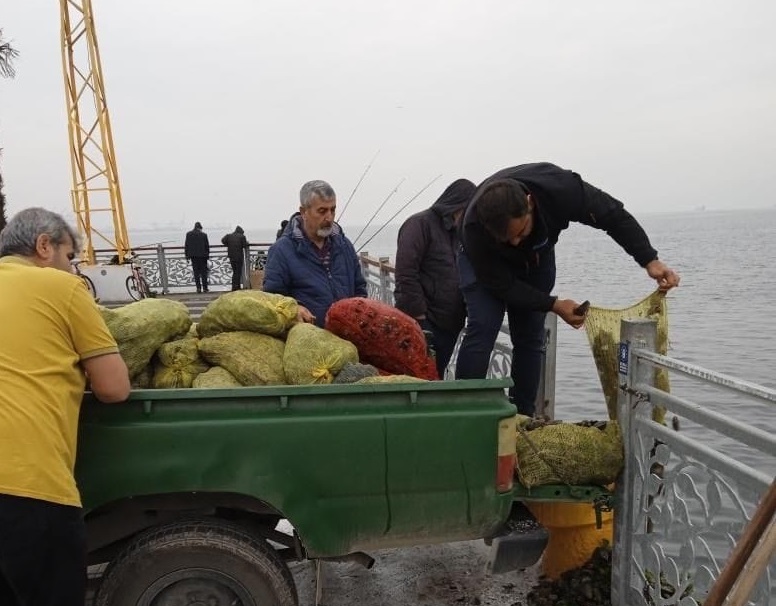 Gemlik Küçük Kumla mahallesinde