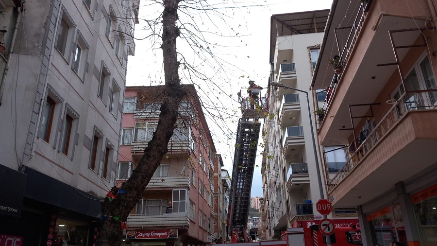 Orhangazi’de cadde üzerinde bulunan