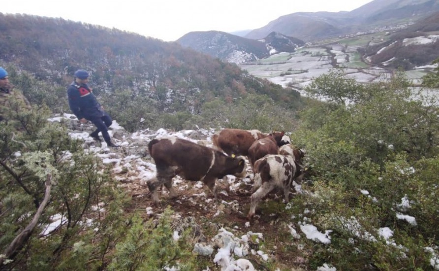 Bursa İl Jandarma Komutanlığı Yenişehir İlçesi