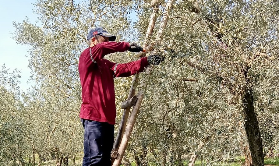 Orhangazi ilçe tarım müdürlüğü