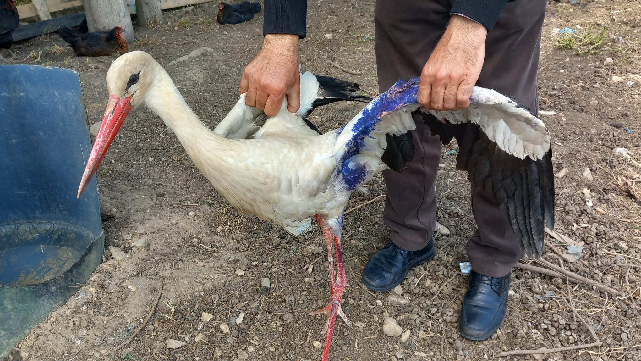 Orhangazi İznik yolunda vatandaşlar