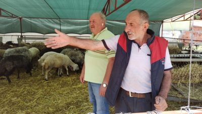Orhangazi’de İznik yolu üzerinde kurulan ve daha önceki yıllarda Kurban
