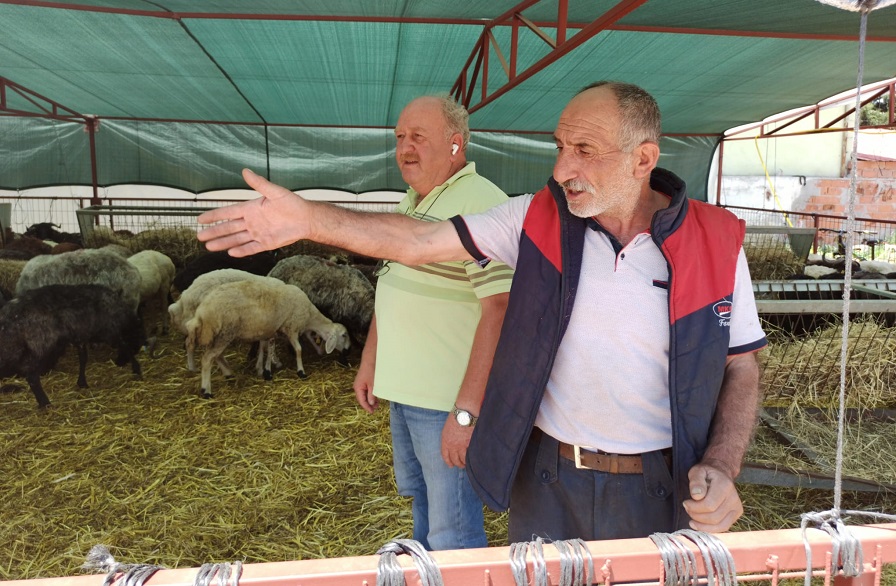 Orhangazi’de İznik yolu üzerinde kurulan ve daha önceki yıllarda Kurban