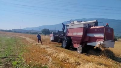 Orhangazi’de tarım ve orman bakanlığının Take projesi kapsamında üreticilere yüzde