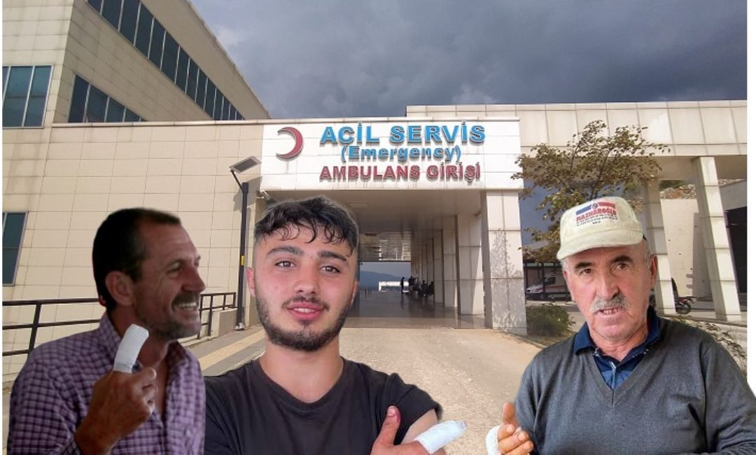 Orhangazi de Kurban Bayramı’nın ilk günü kurban kesmek isterken kendilerini