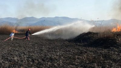 Temmuz ayı itibariyle artış gösteren hava sıcaklıkları son günlerde rekor