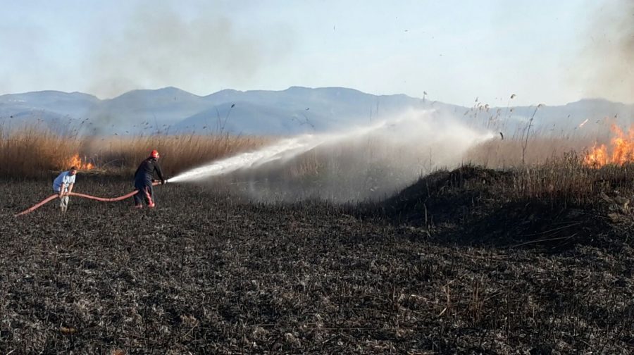 Temmuz ayı itibariyle artış gösteren hava sıcaklıkları son günlerde rekor