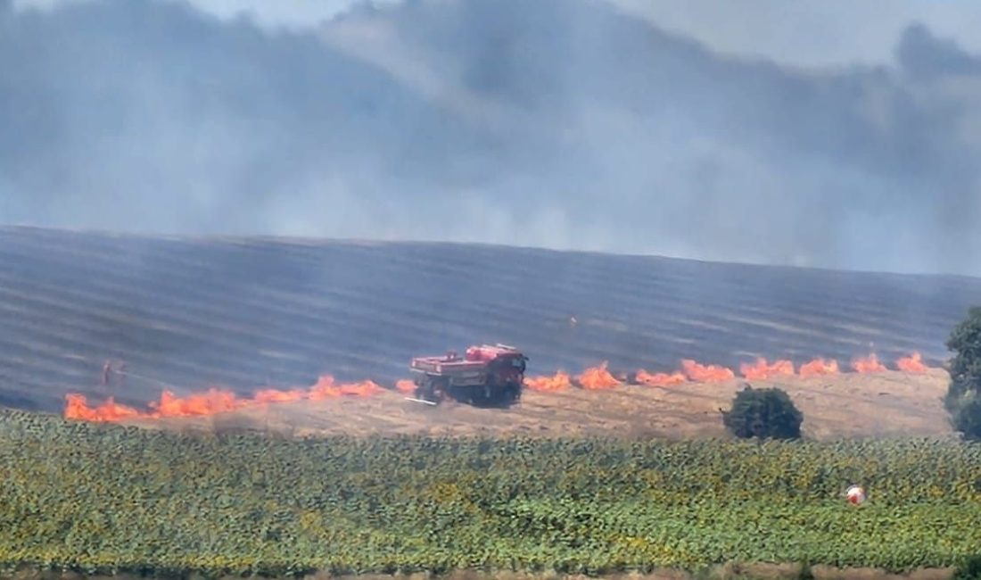 Yenişehir İlçesinde Kavaklı ile Karacaali Mahallesi arasındaki ormanlık alana yakın